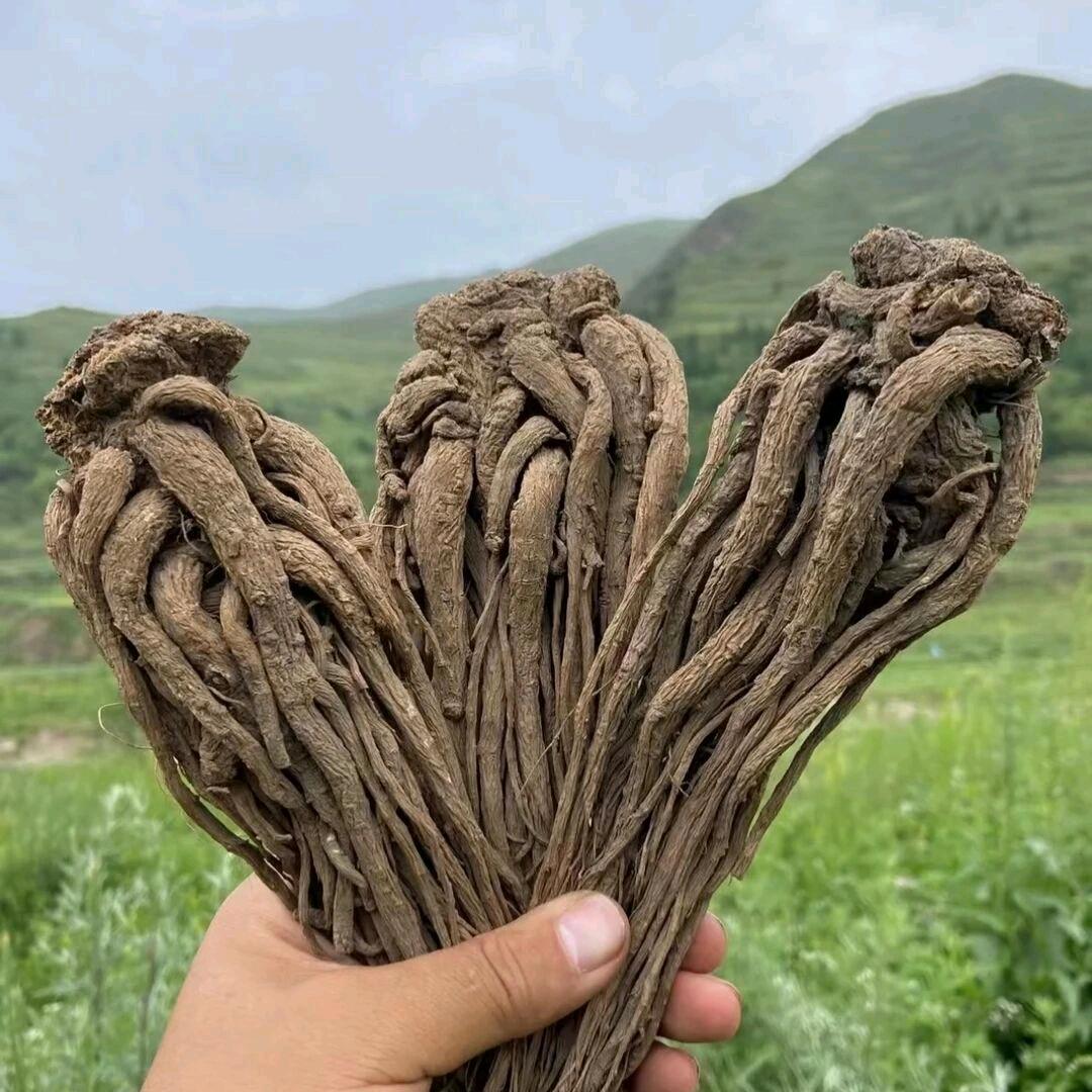 小青滋补养身店