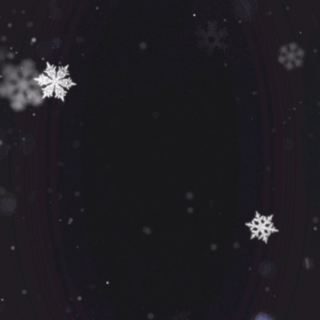 卢先生⁵²⁸⁸🌸