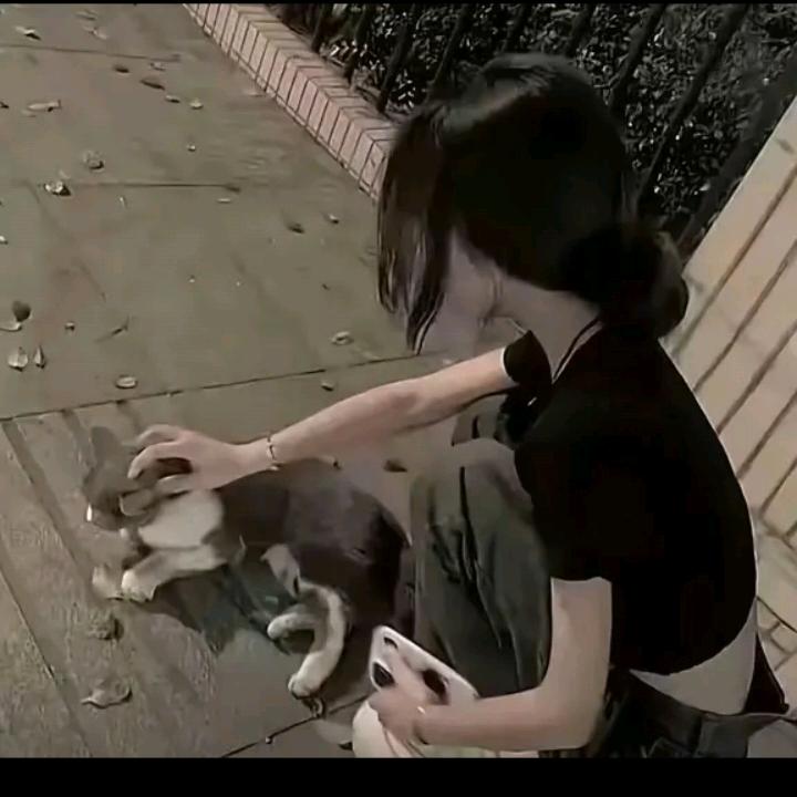 温念冉🧀