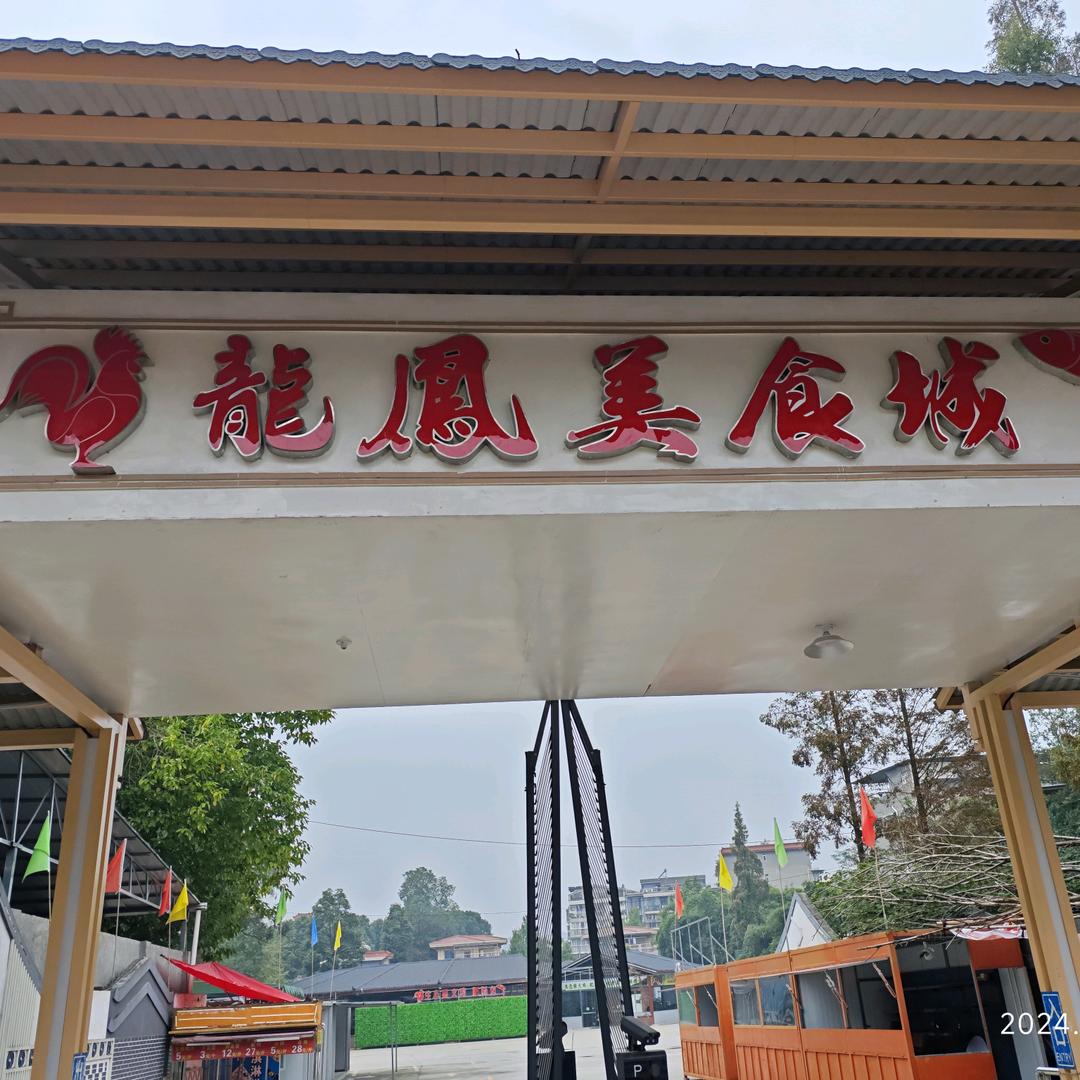龙凤美食城·柴火鸡官方号