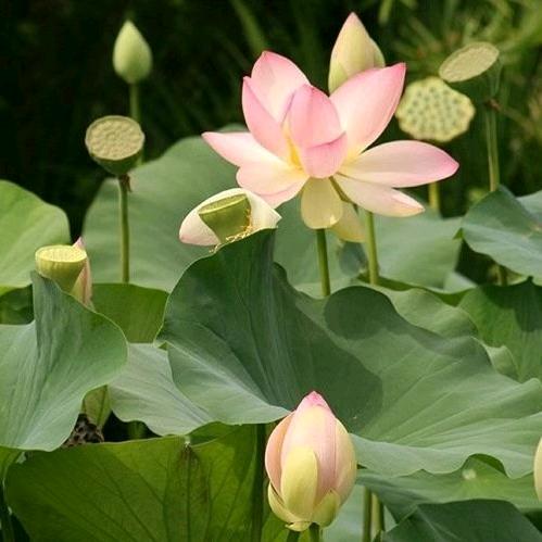 往后余生精彩过～