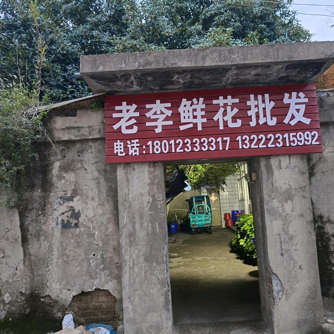 仪征老李鲜花批发84235941620