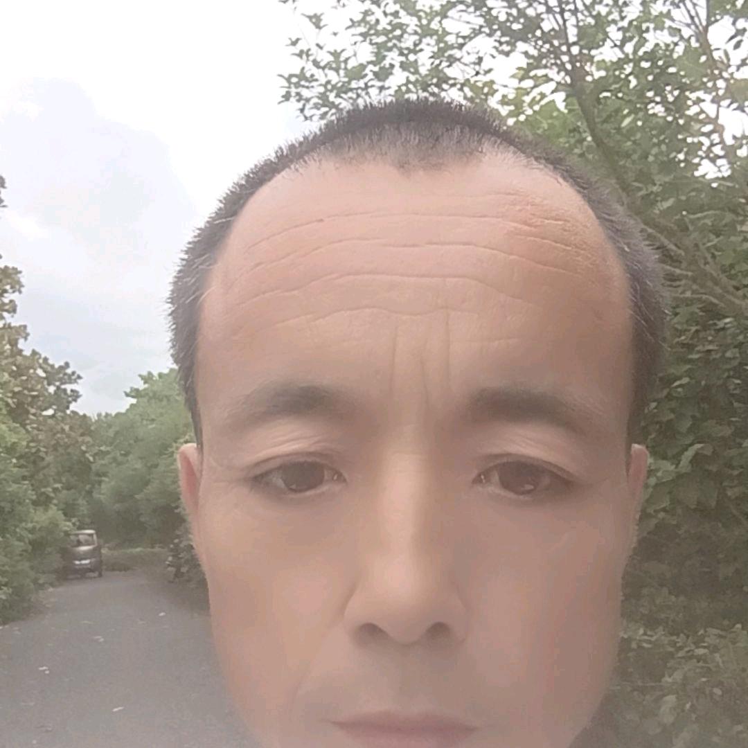 玫瑰花