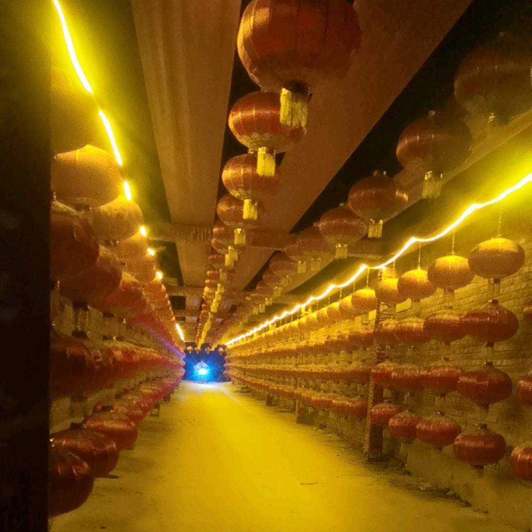 豪