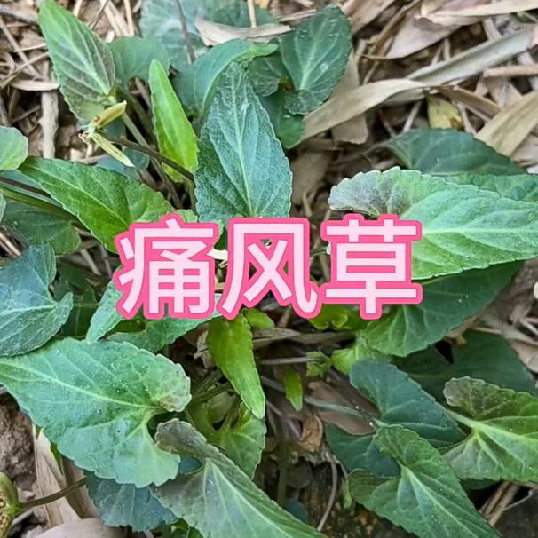 用户1771767073638