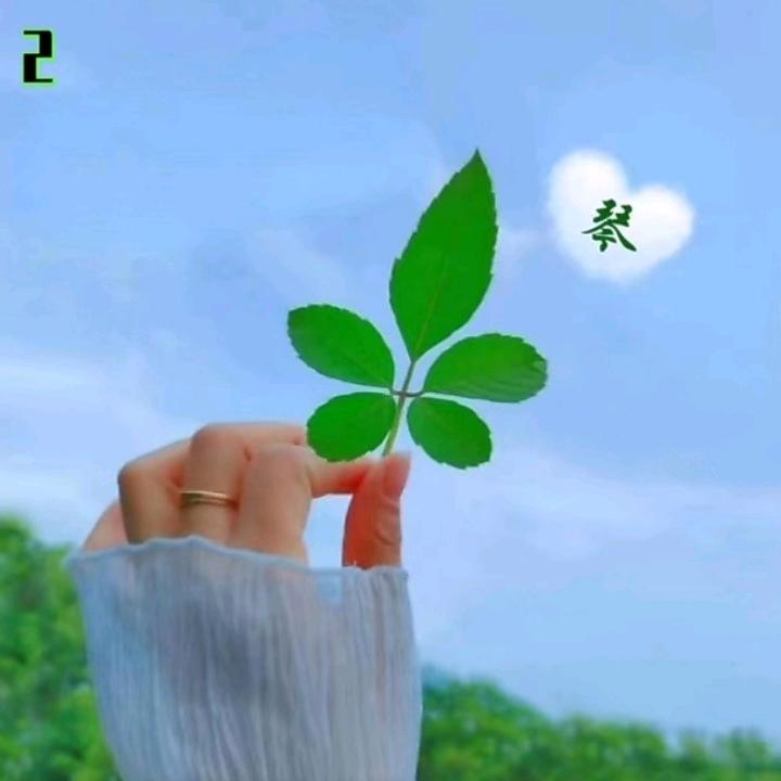 人美在心灵，鸟美在羽毛！