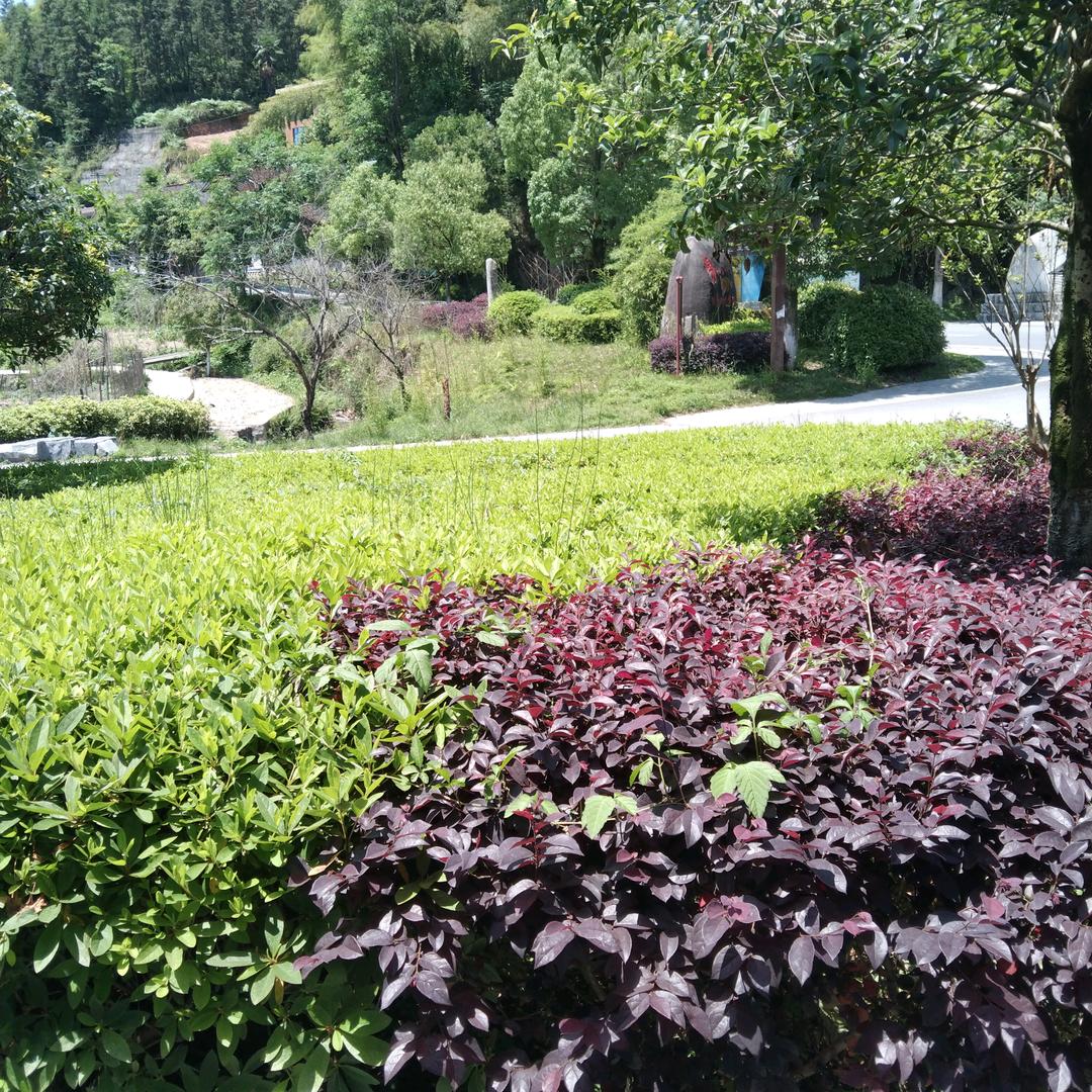 追你追到月球上