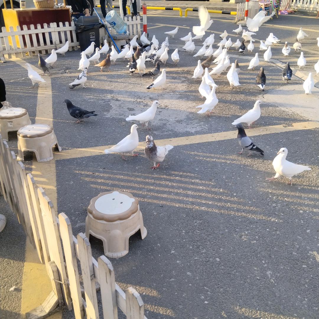 柏@（入）@罗@（❤️）%100