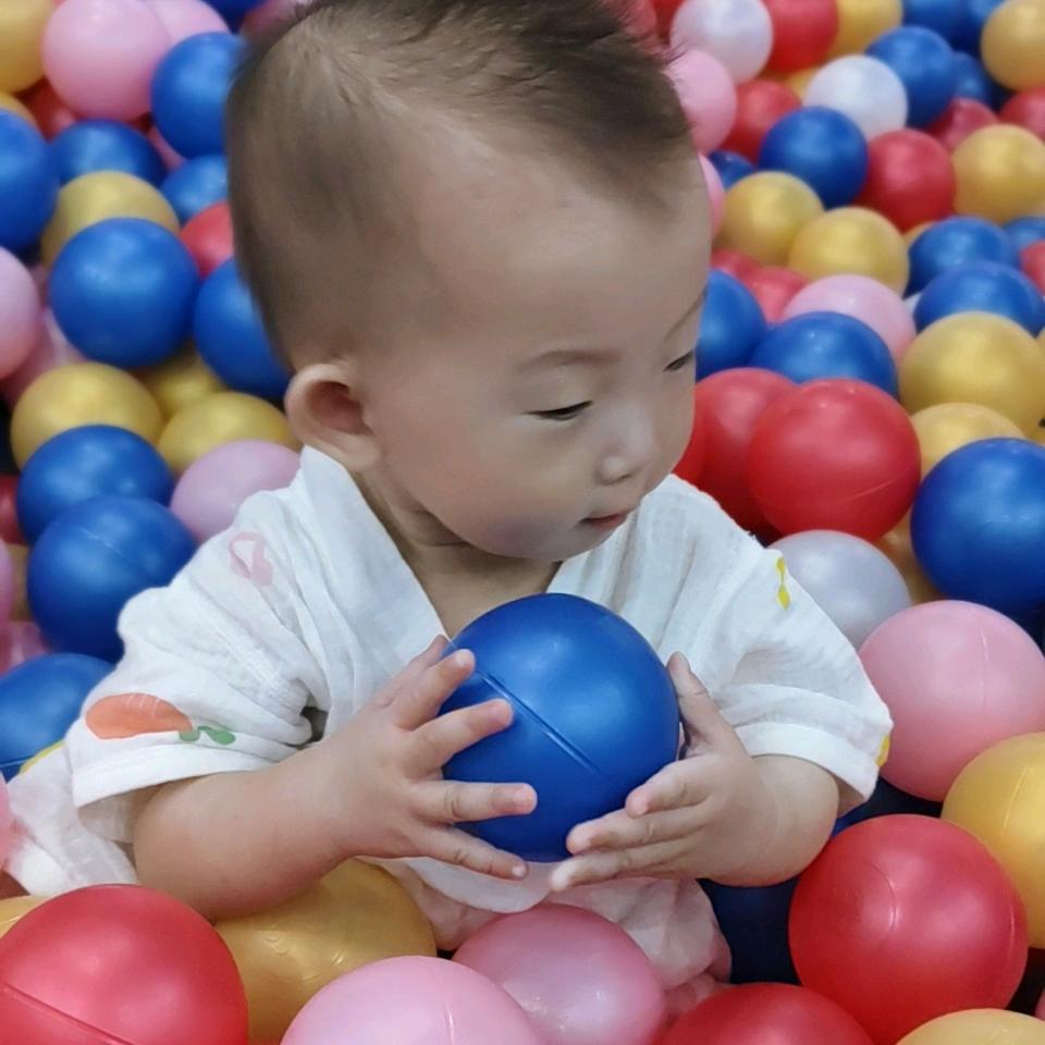 米朵打卡记