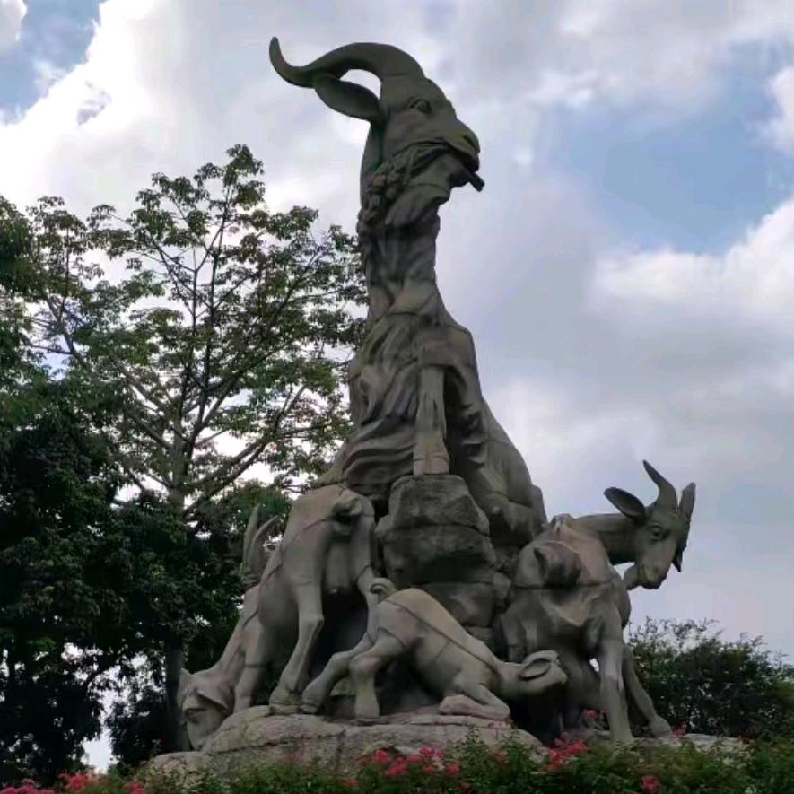 羊城📹