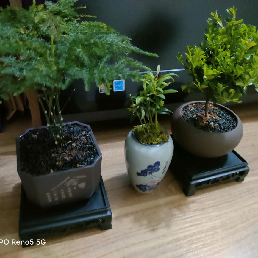 带你去看风景