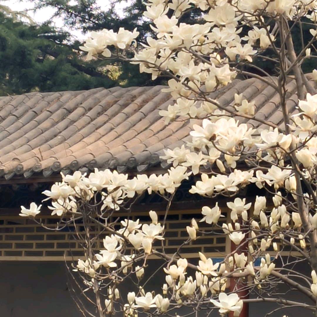 奉真悟道