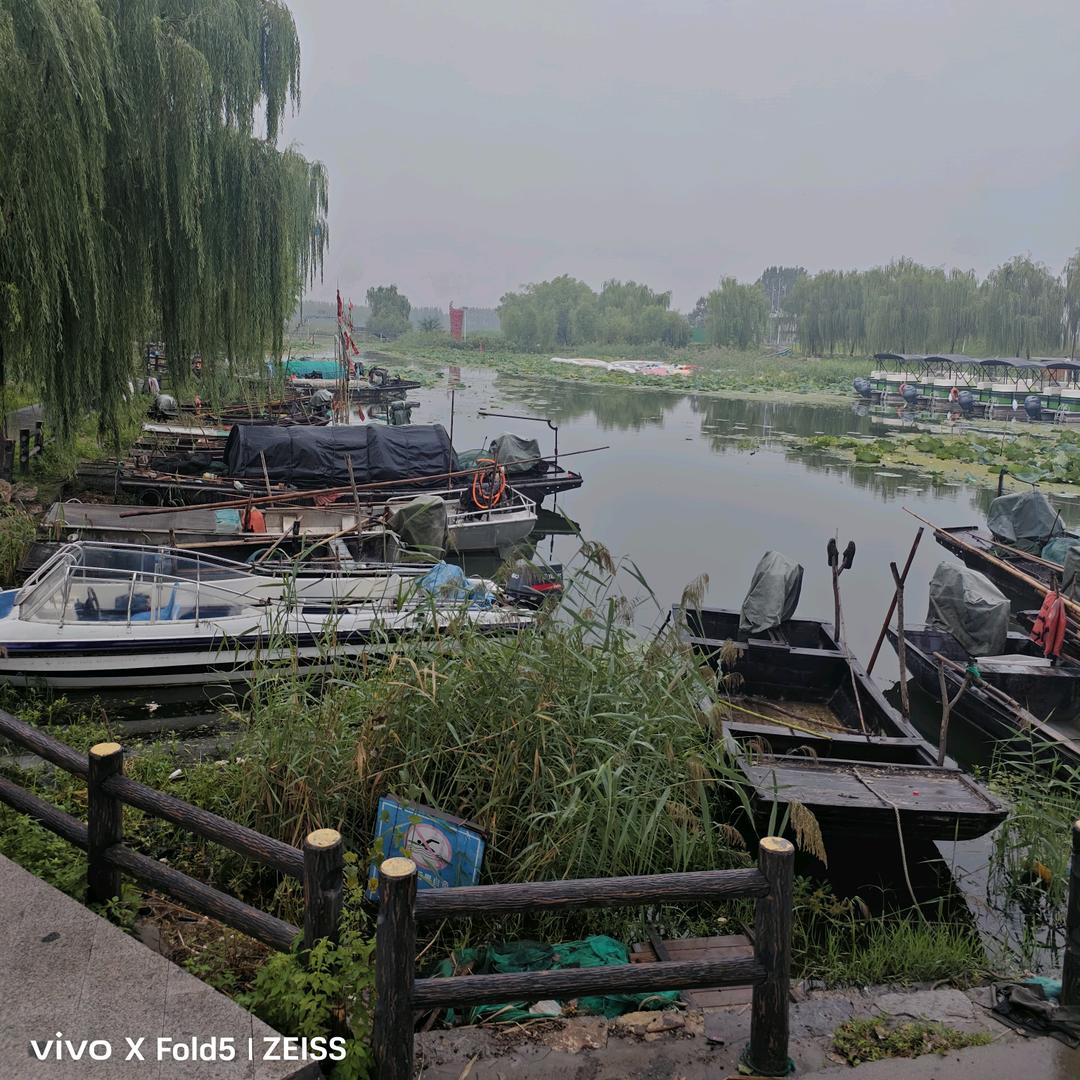 微山湖水产甄选店