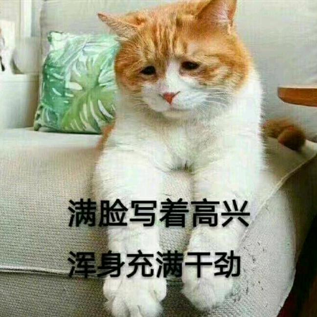 焯我不会起名