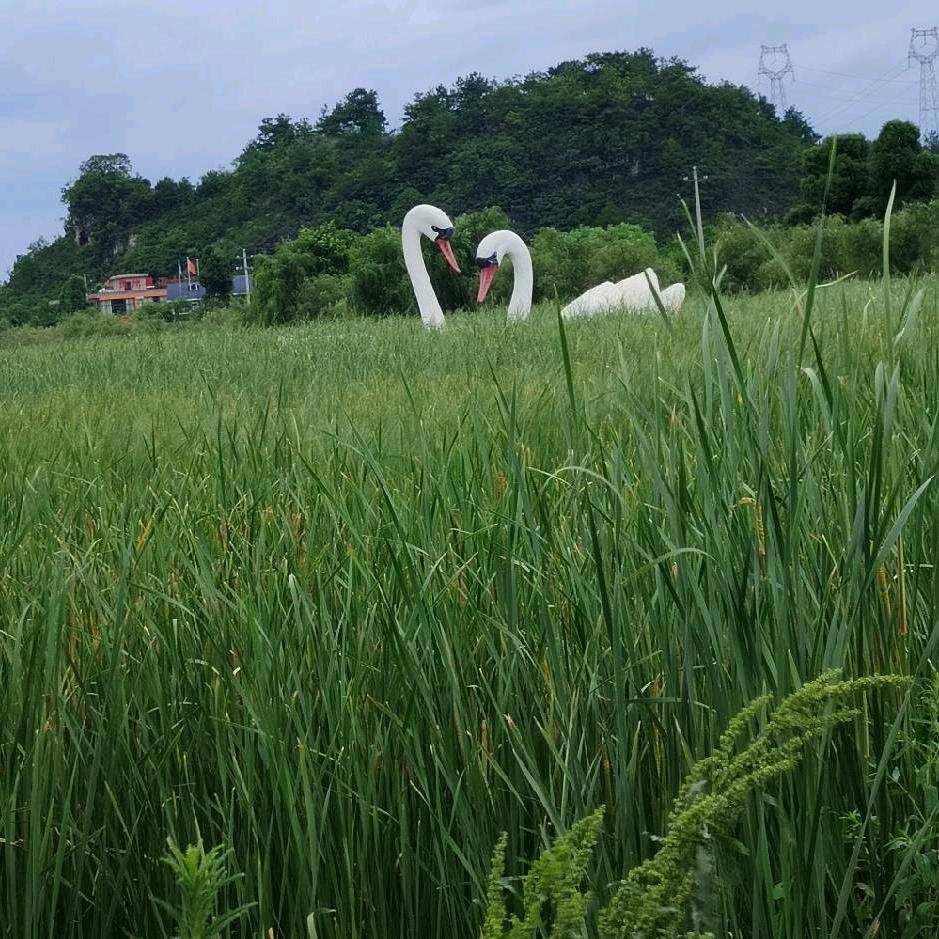 涂涂✔