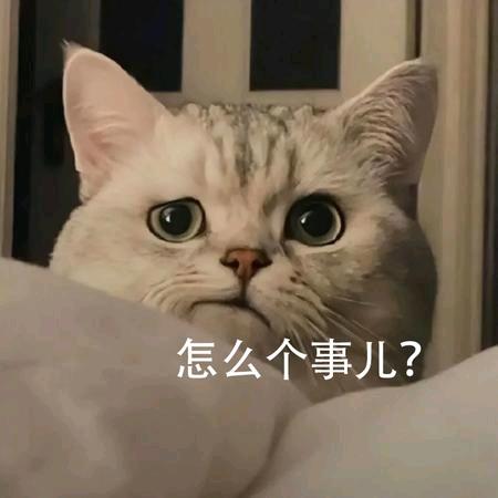 🌈2893周生如故