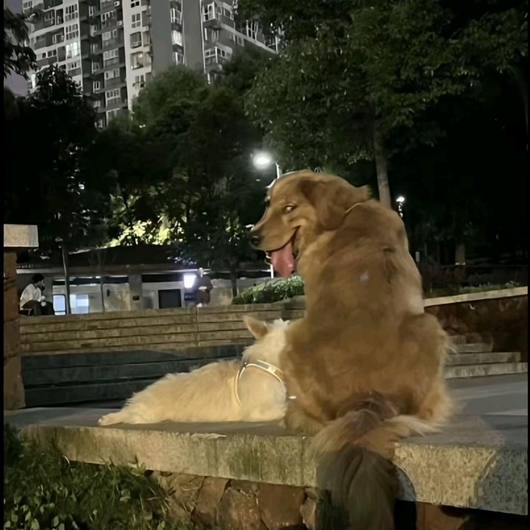 这个男孩有点黑！！