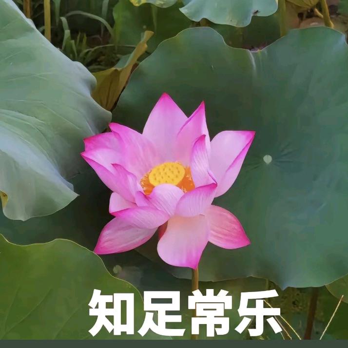 美好生活