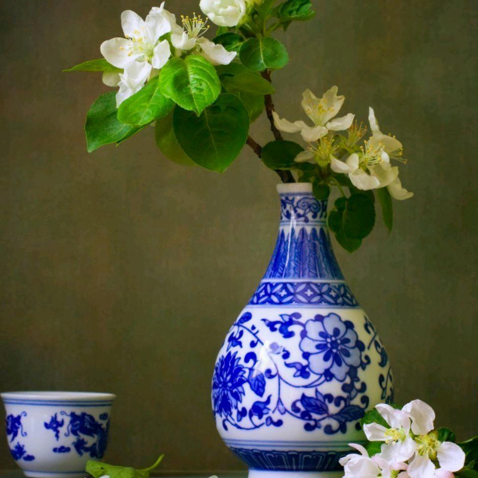 ⭐️吉祥🇨🇳