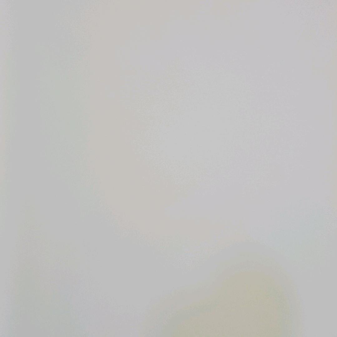 245173