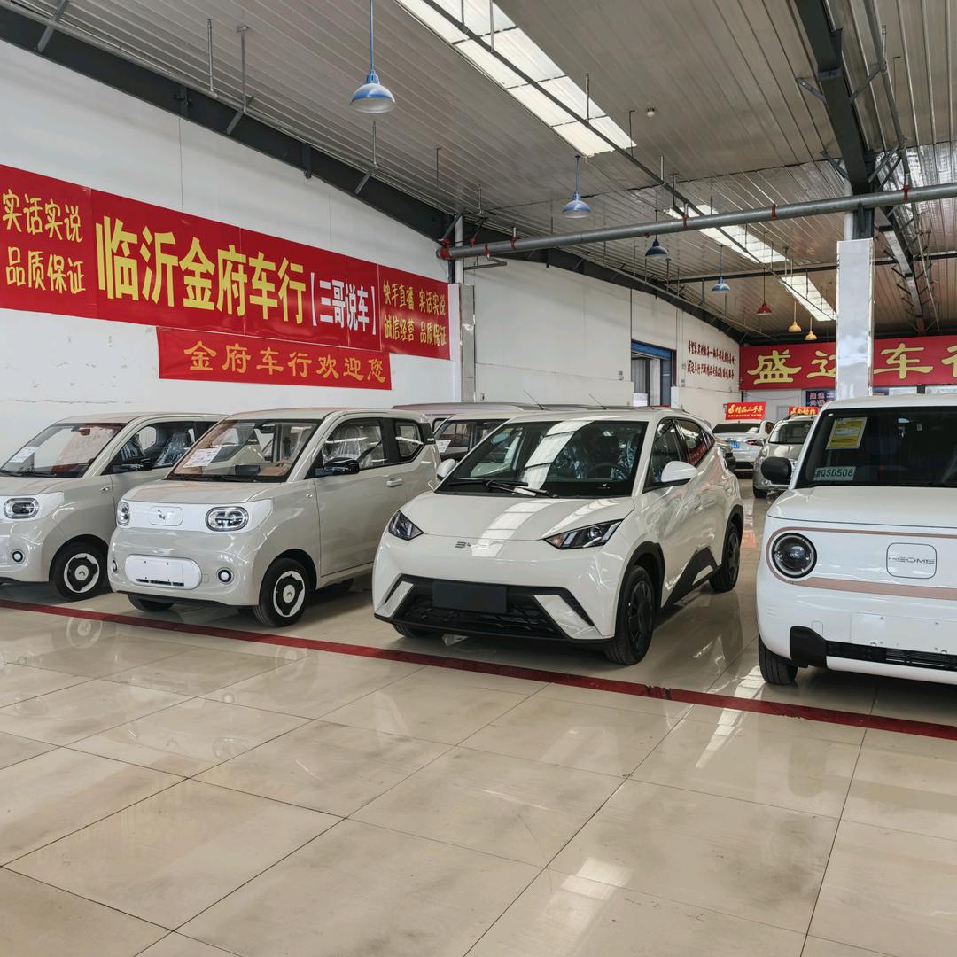 金府汽贸新能源