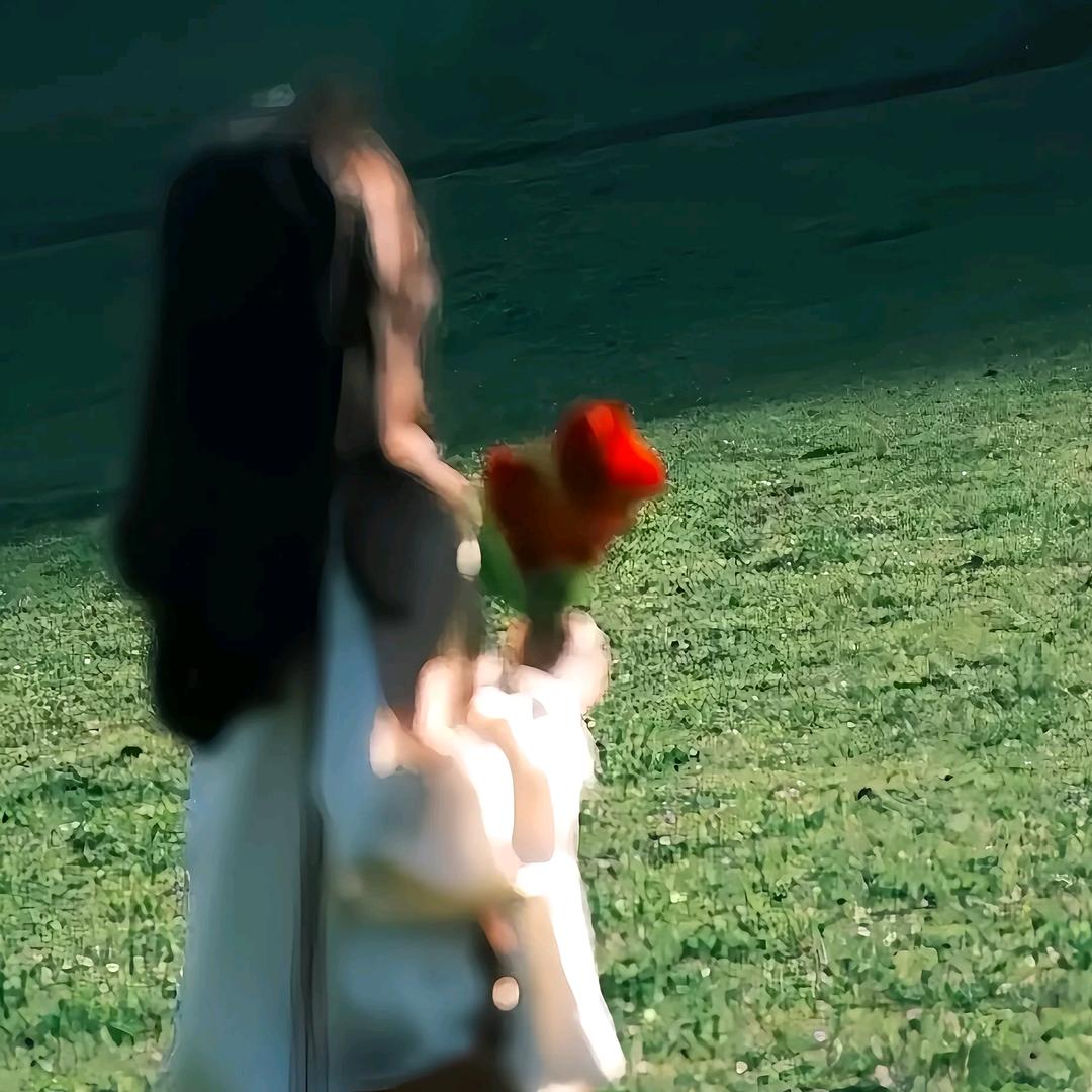 。🍄