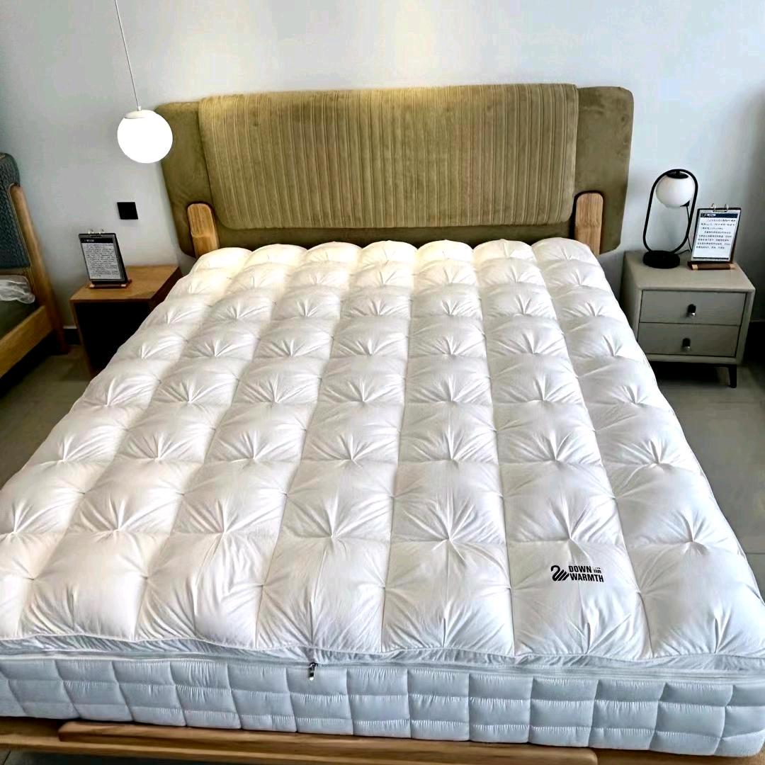 广州辰晨床垫定制有限公司