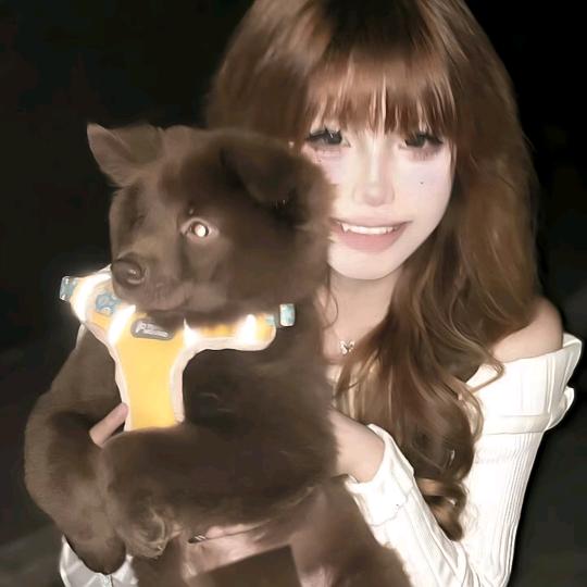 小狗拯救世界✌︎