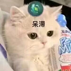 AAA长白山人参批发白姐