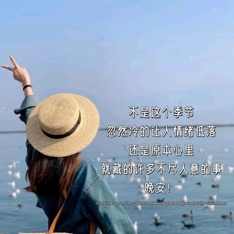 诺诺