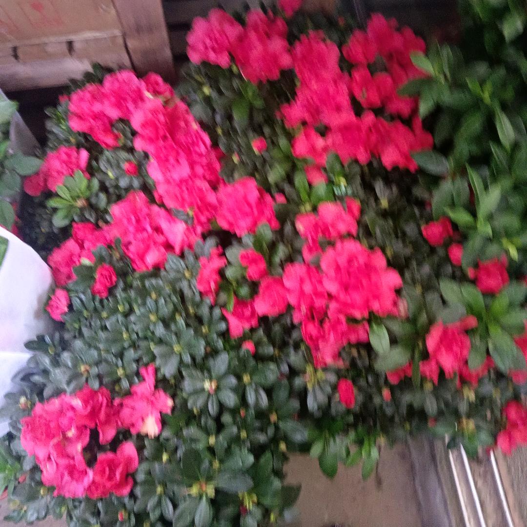 温馨