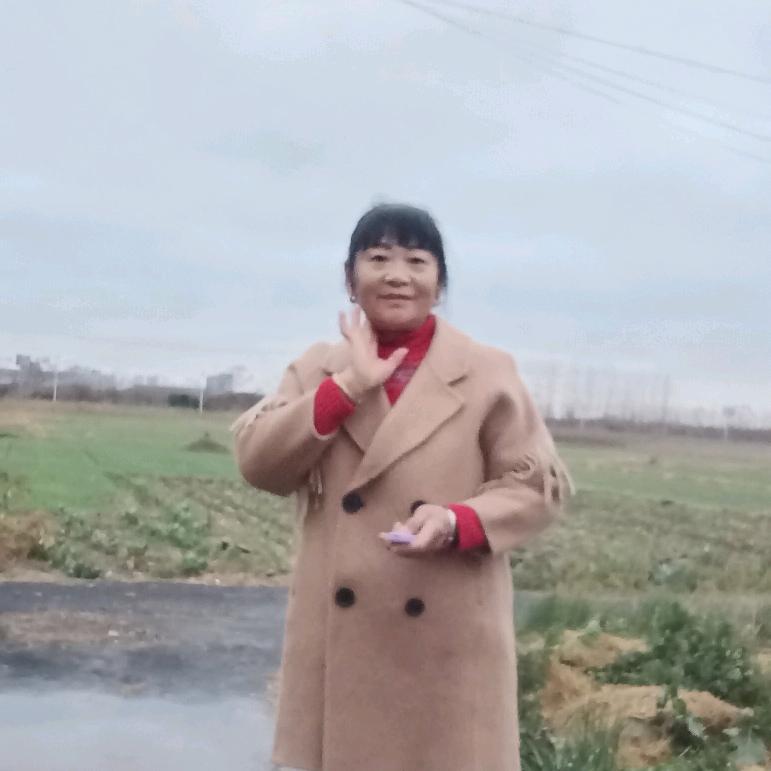 油菜