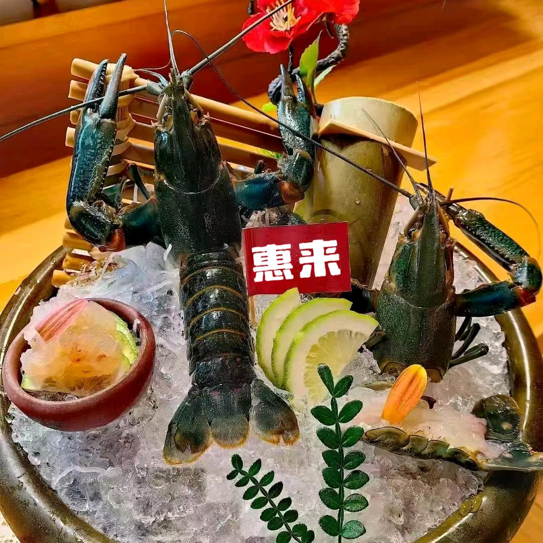 蓝龙虾韩商