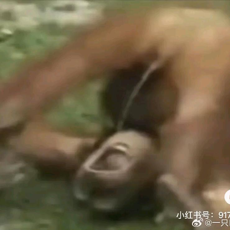 不瘦十斤不改名