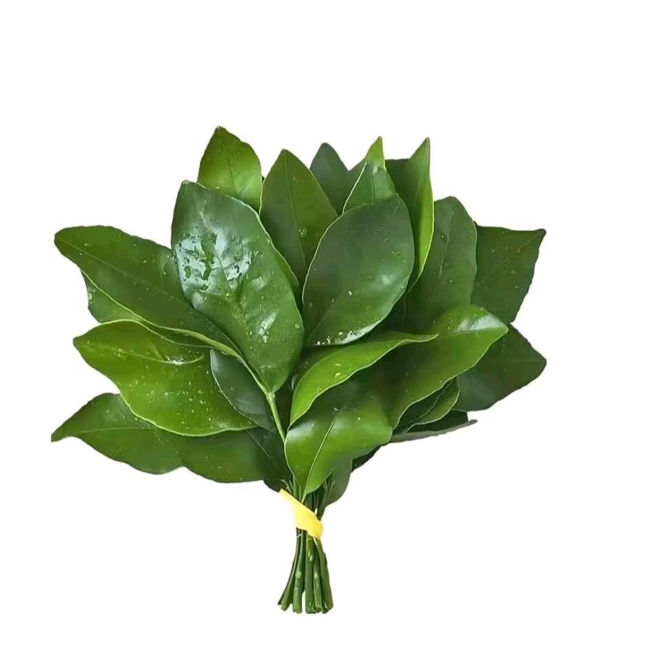 财来