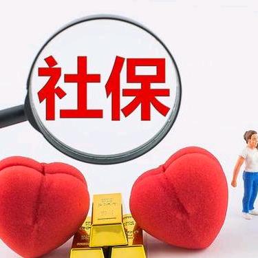 张老师专业社保规划