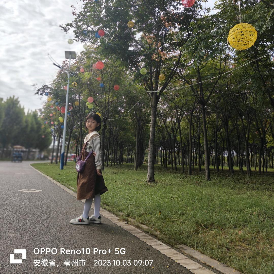 小焦（拒绝私聊）