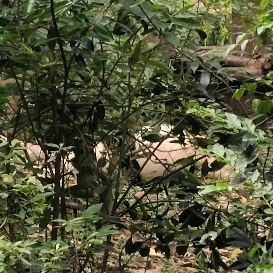 小琦记录日常之打工版