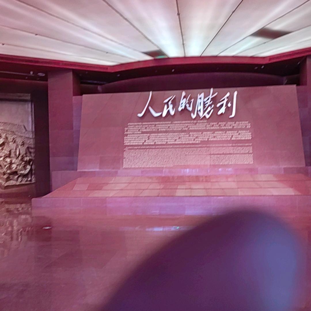 莴苣专业
