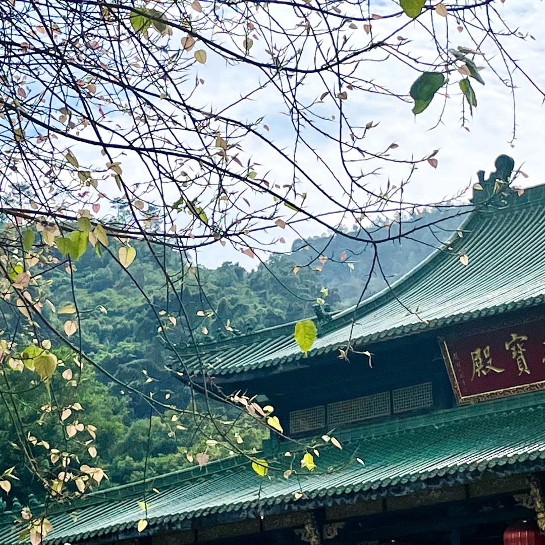 花落流水