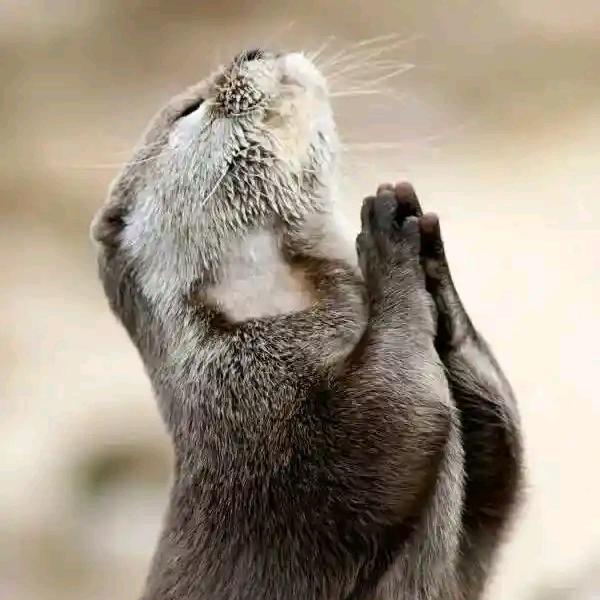 简简～单单 且行～且珍惜