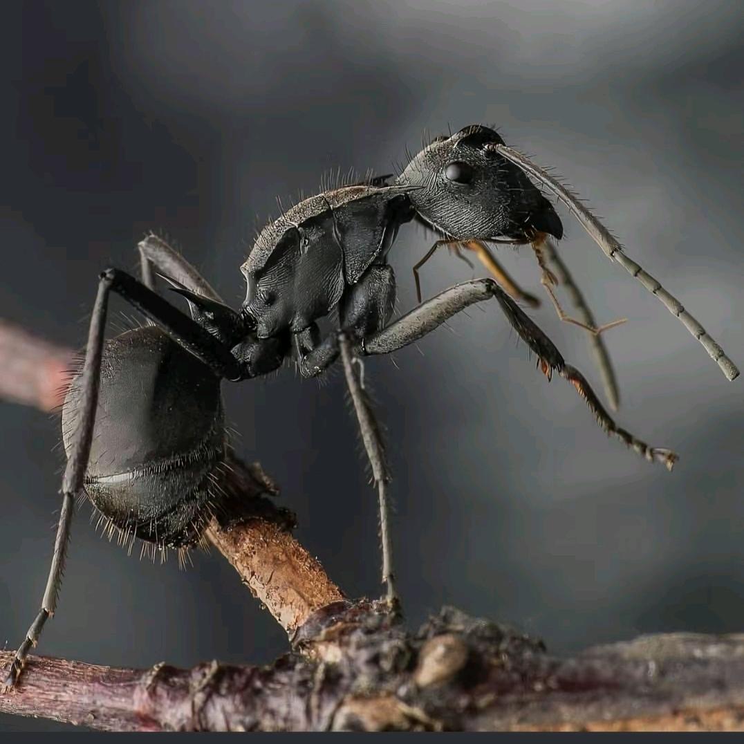 宇宙分子🇨🇳