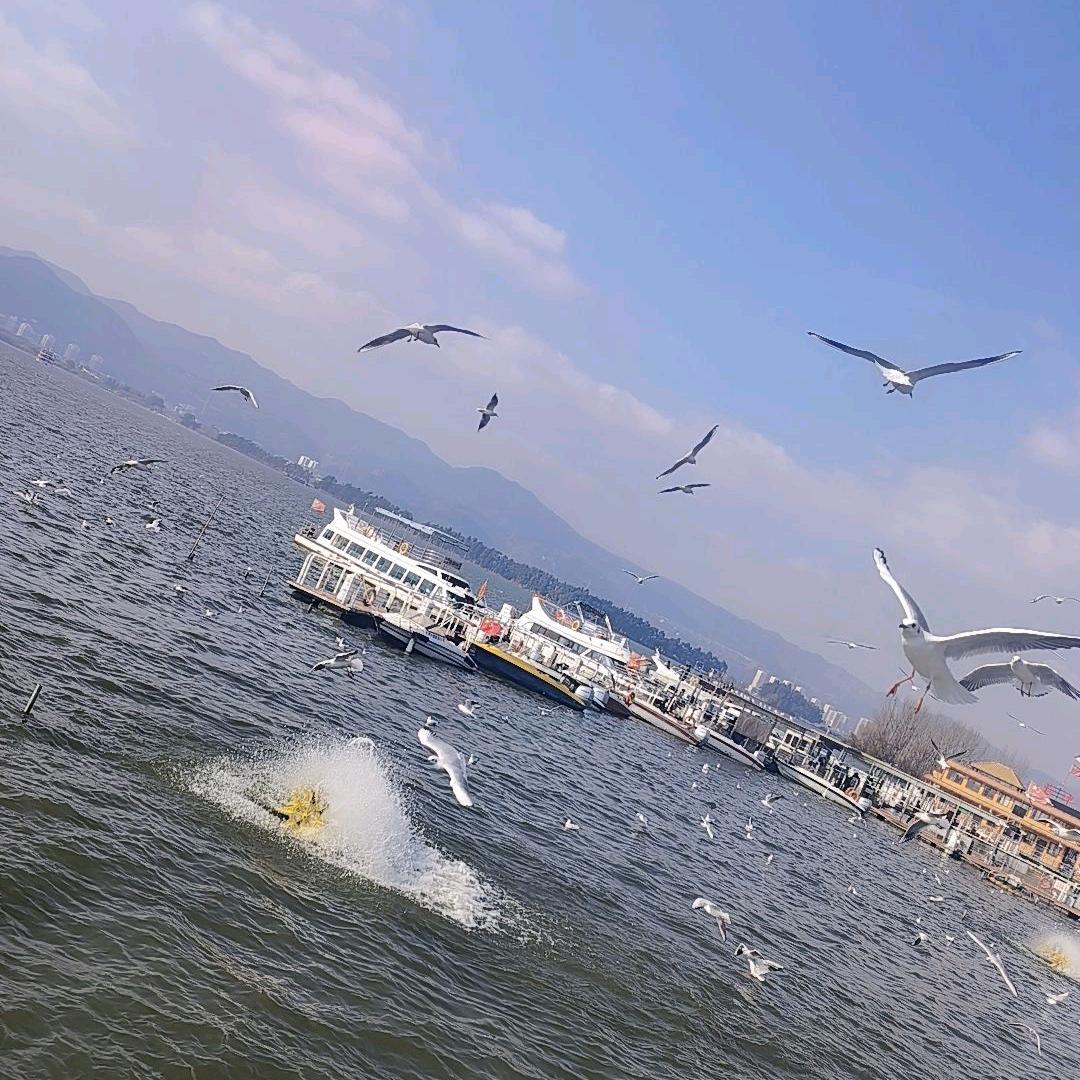 芸儿