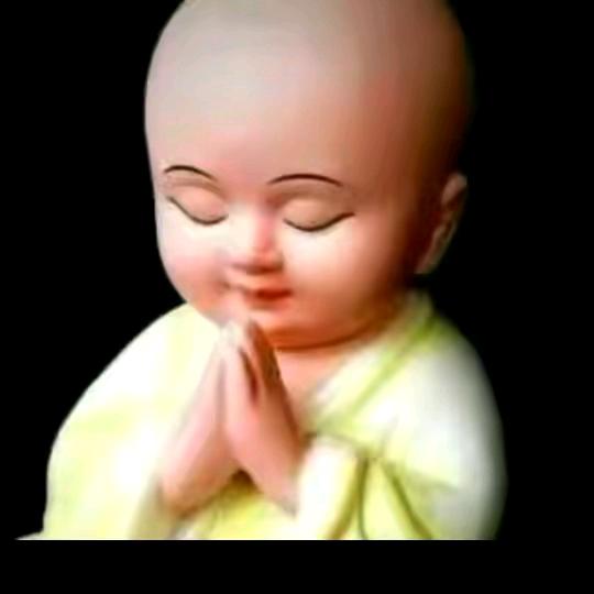 🇨🇳放飞自我🐟