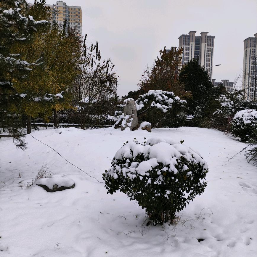 慧 唱歌