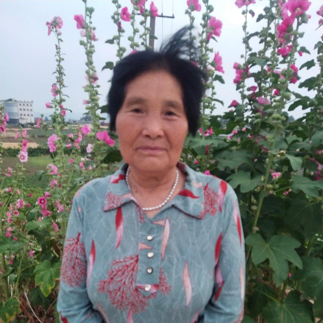 幸福一家，各在村