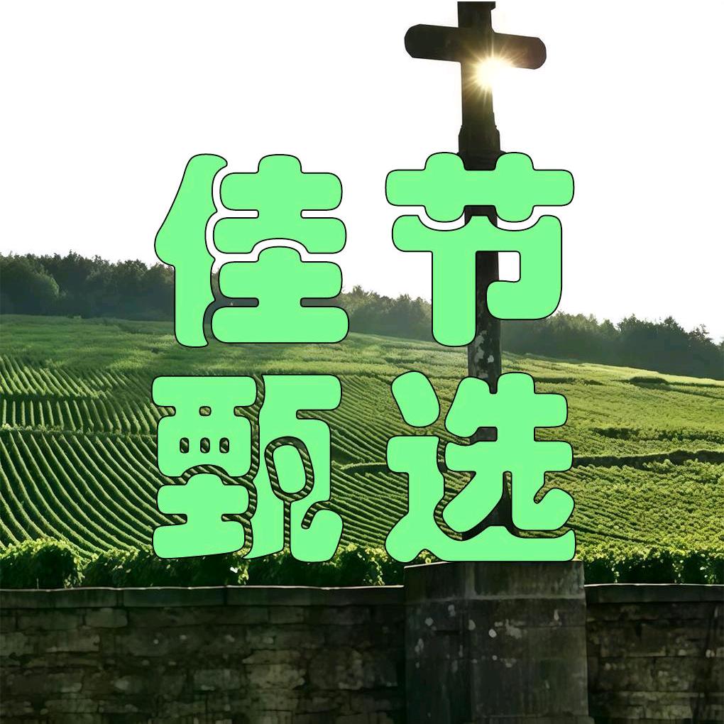 佳节甄选高分勃艮第