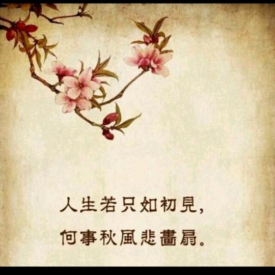 慢摇人生