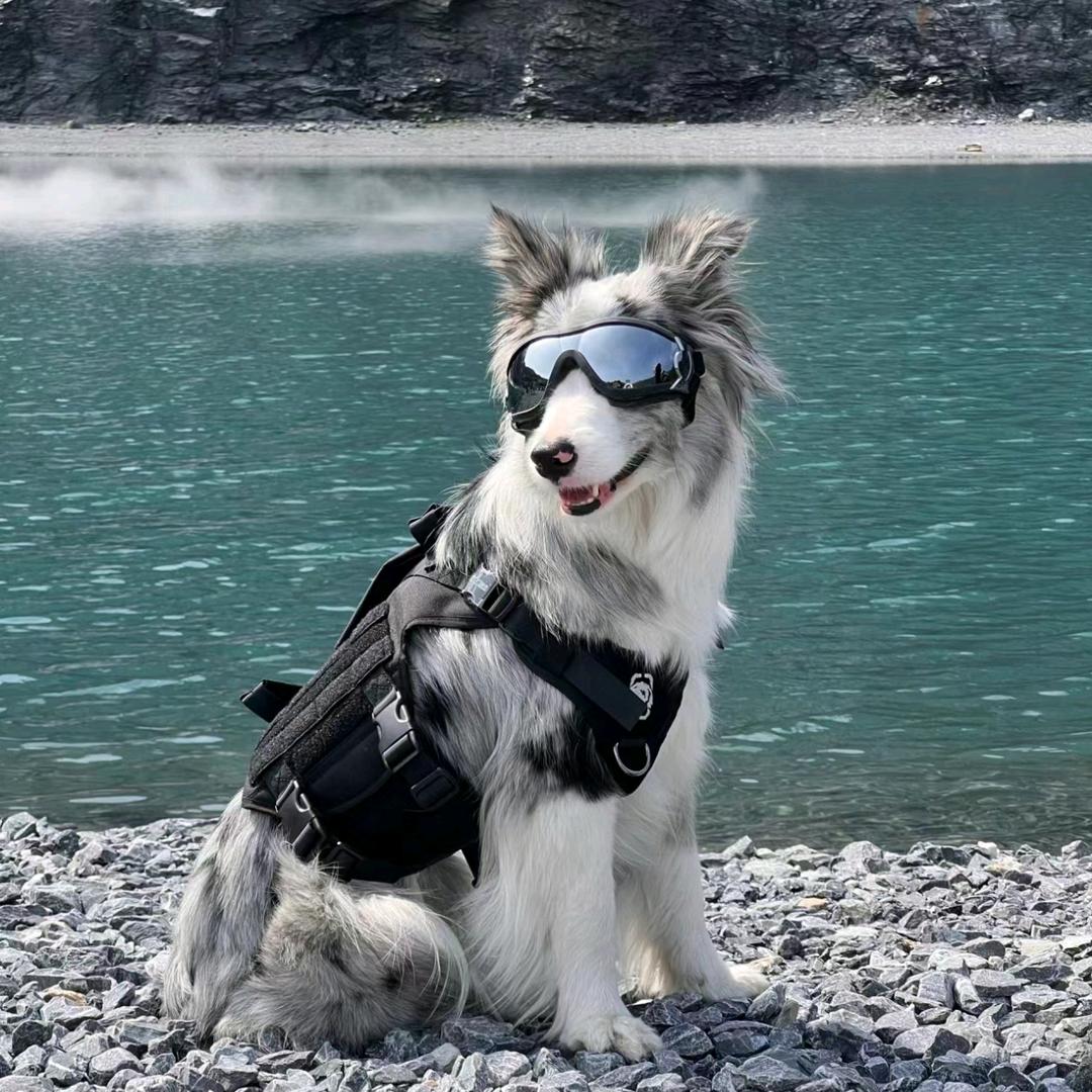 迷失在黑夜⁰⁷¹⁷