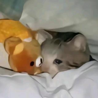 子不语